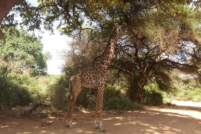 3-Day Safari to Ngorongoro, Tarangire & Lake Manyara NP - Pricing and Cancellation