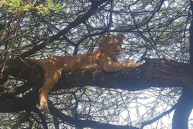 3-Day Safari to Ngorongoro, Tarangire & Lake Manyara NP - Exploring Ngorongoro Crater