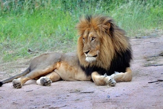 3-Day Safari to Ngorongoro, Tarangire & Lake Manyara NP - Wandering Lake Manyara National Park