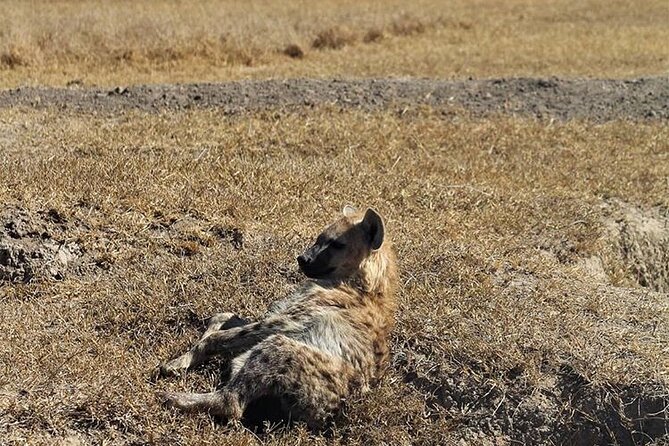 3-Day Safari Tour in Two National Parks - Pickup and Start Time