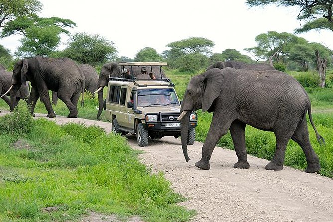 3-Day Safari Tour to Tarangire National Park, Lake Manyara National Park and Ngorongoro Crater From Arusha - Itinerary Overview