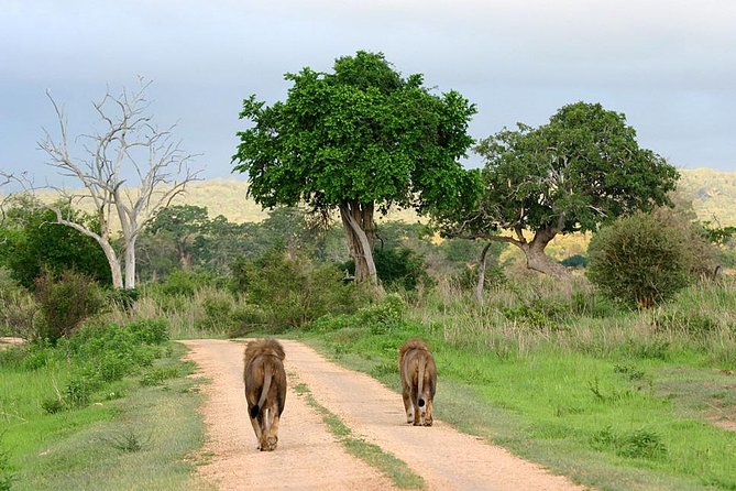 3-Day Safari Tour to Tarangire National Park, Lake Manyara National Park and Ngorongoro Crater From Arusha - Ngorongoro Crater