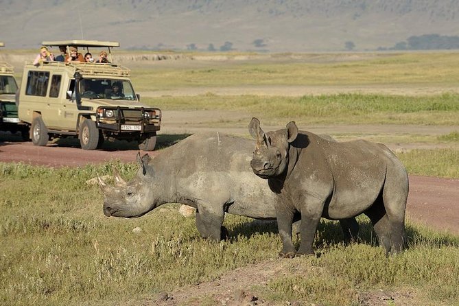 3-Day Safari Tour to Tarangire National Park, Lake Manyara National Park and Ngorongoro Crater From Arusha - Important Information