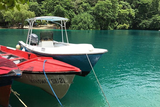 3-Day Sightseeing Tour of Portland and Ocho Rios Starting in Montego Bay - Traveler Reviews