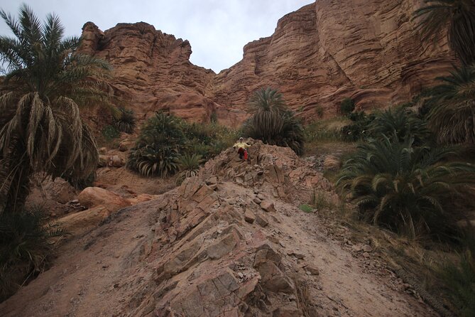 3-Day Small-Group Guided Hiking Expedition in the Sinai Desert - Group Size and Exclusivity