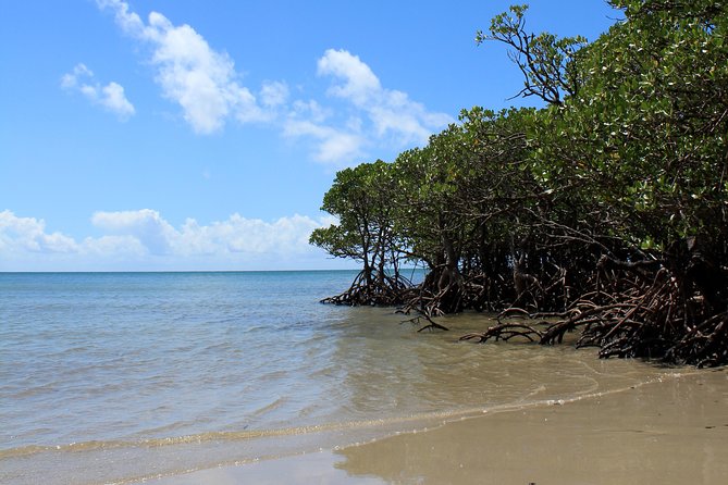 3-Day Small-Group Tour of North Queensland With Pick up - Tour Itinerary