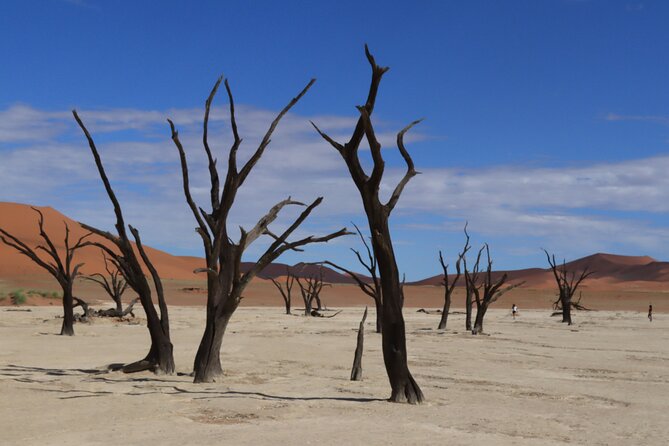 3 Day Sossusvlei Camping Schedule and Sandwich Habor - Accommodation and Meals