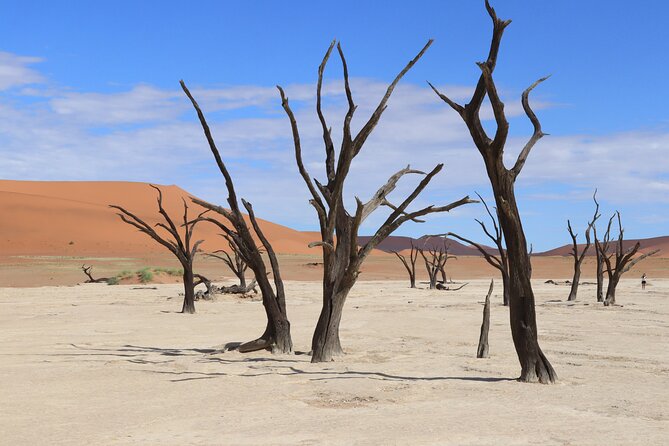 3 Day Sossusvlei Camping Schedule and Sandwich Habor - Group Size and Guides