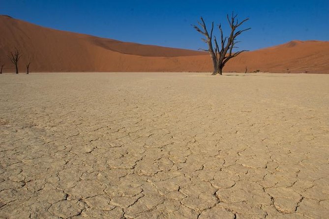 3-Day Sossusvlei Express Accommodated Safari From Swakopmund - Packing and Preparation