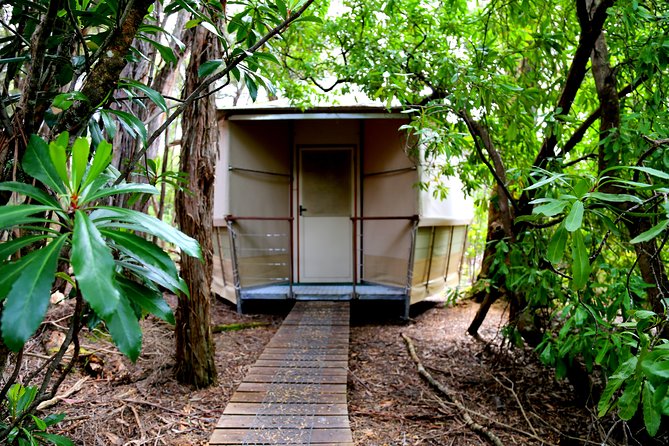 3-Day Southwest National Park Wilderness Camping Tour - Accommodation and Meals