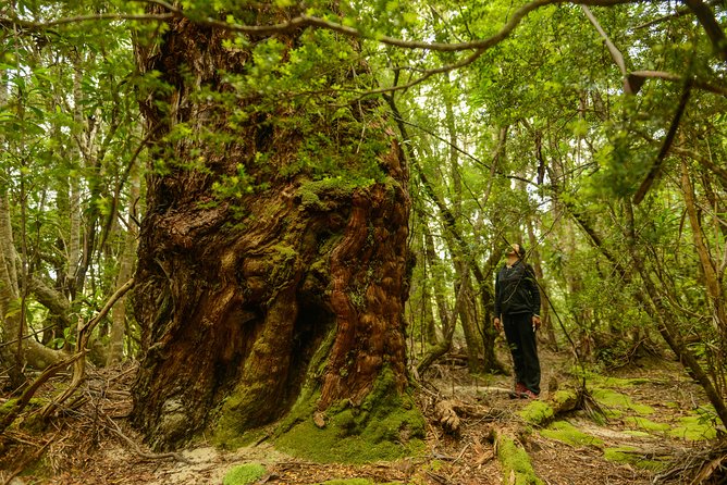 3-Day Southwest National Park Wilderness Camping Tour - Logistics