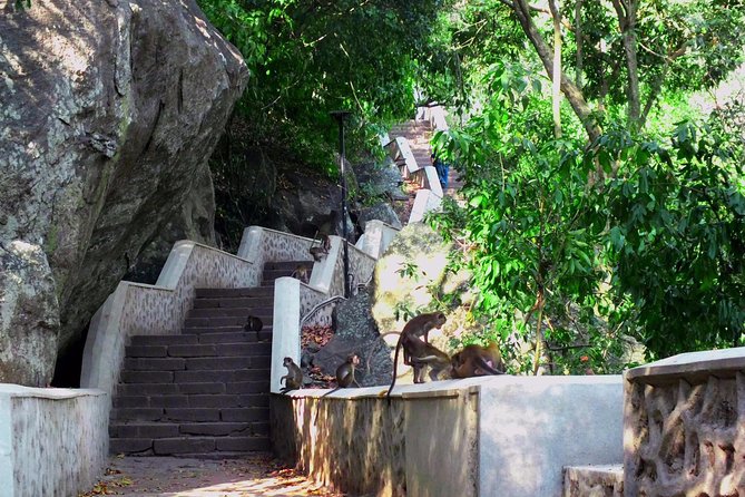 3 Day SriLanka Cultural Tour:Dambulla/ Sigiriya/ Polonnaruwa / Minneriya/ Kandy - Itinerary Highlights