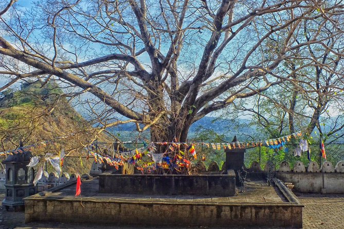 3 Day SriLanka Cultural Tour:Dambulla/ Sigiriya/ Polonnaruwa / Minneriya/ Kandy - Day 3: Dambulla and Kandy