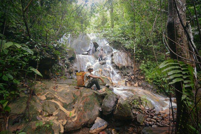 3-Day Survival and Leuser Ecosystem Tour - Key Points