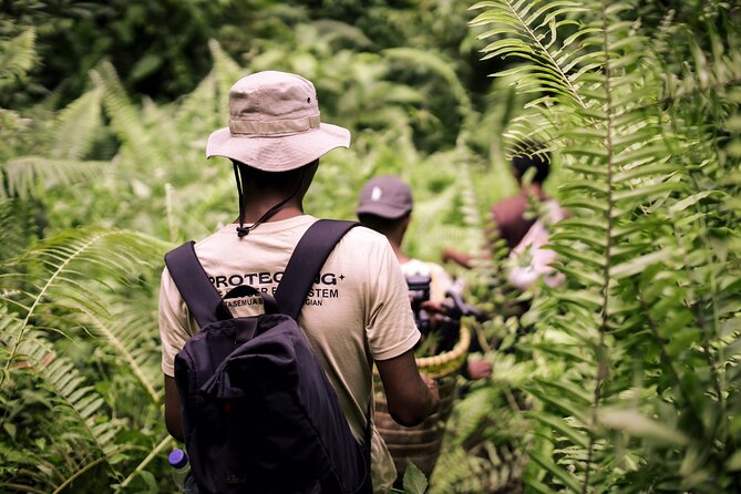 3-Day Survival and Leuser Ecosystem Tour - Health Considerations