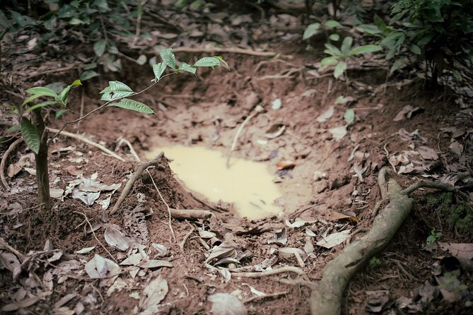 3-Day Survival and Leuser Ecosystem Tour - Accessibility Information