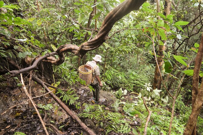 3-Day Survival and Leuser Ecosystem Tour - Booking Requirements