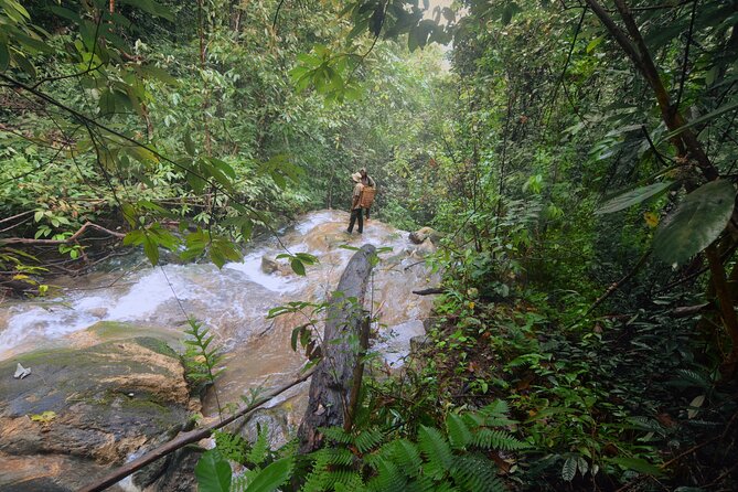 3-Day Survival and Leuser Ecosystem Tour - Cancellation Policy