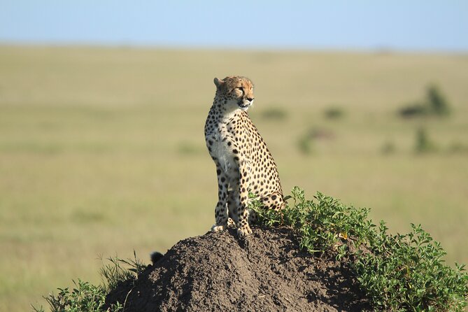 3-Day Sweetwaters: Ol Pejeta Conservancy Safari From Nairobi - Pricing and Cancellation Policy