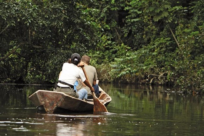 3 Day Tambopata Amazon Jungle Tour at Hacienda Concepción - Rainforest Exploration