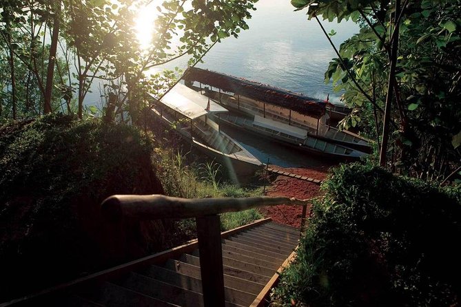 3 Day Tambopata Amazon Jungle Tour at Inkaterra Reserva Amazónica - Wildlife Viewing Opportunities