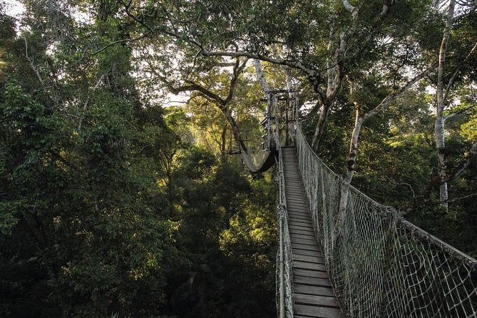 3 Day Tambopata Amazon Jungle Tour at Inkaterra Reserva Amazónica - Discovering Butterfly Diversity