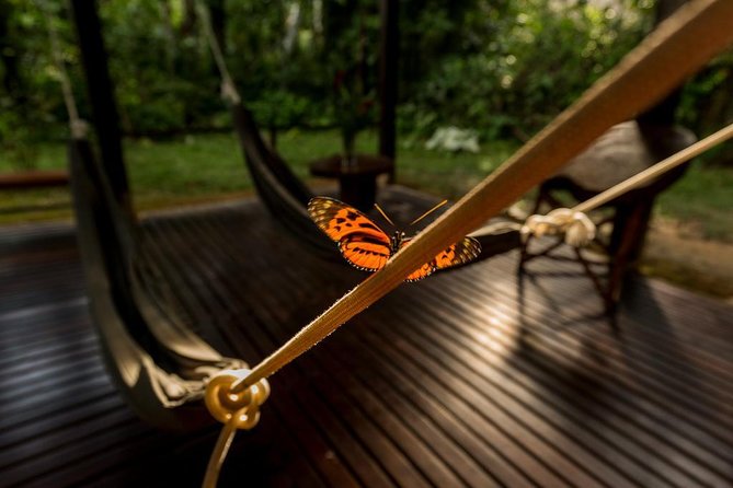 3 Day Tambopata Amazon Jungle Tour at Posada Amazonas - Key Points