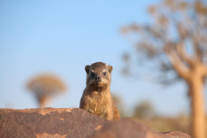 3-Day Tanzania Safari - Tarangire and Ngorongoro Crater - Considerations and Booking Details