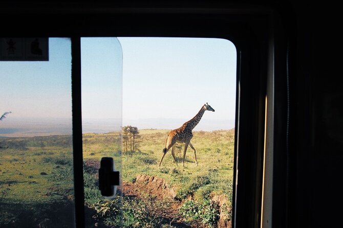 3-Day Tarangire, Lake Manyara and Ngorongoro - Exclusions