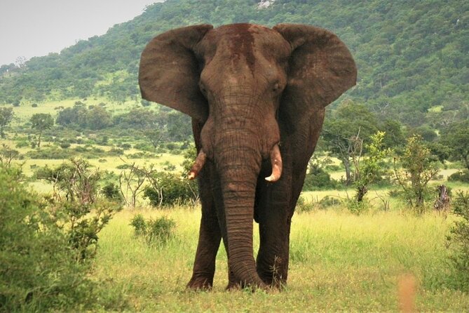 3-Day Tarangire, Lake Manyara and Ngorongoro - Meeting and Pickup