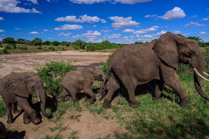 3-Day Tarangire, Lake Manyara and Ngorongoro - Additional Information