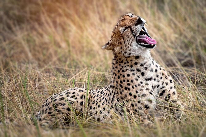 3-Day Tarangire, Lake Manyara and Ngorongoro - Lake Manyara National Park