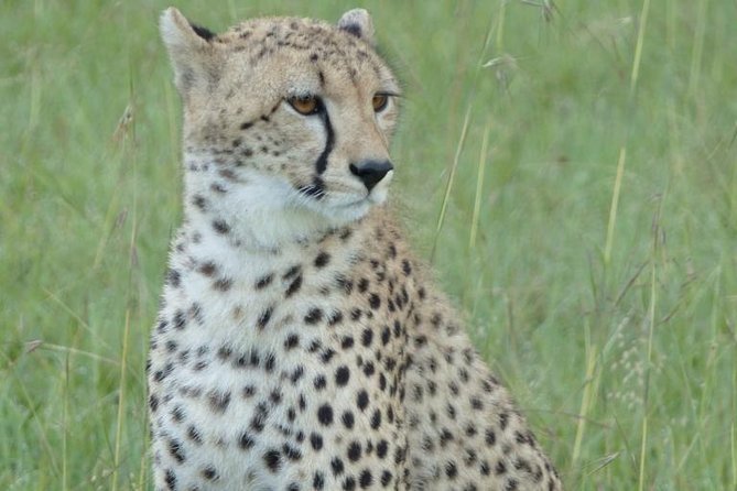 3 Day - Tarangire, Ngorongoro Crater Lake Manyara- Mid - Range - Health Considerations
