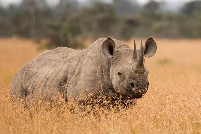 3-Day Tarangire, Ngorongoro Crater, Manyara Park - Included Experiences