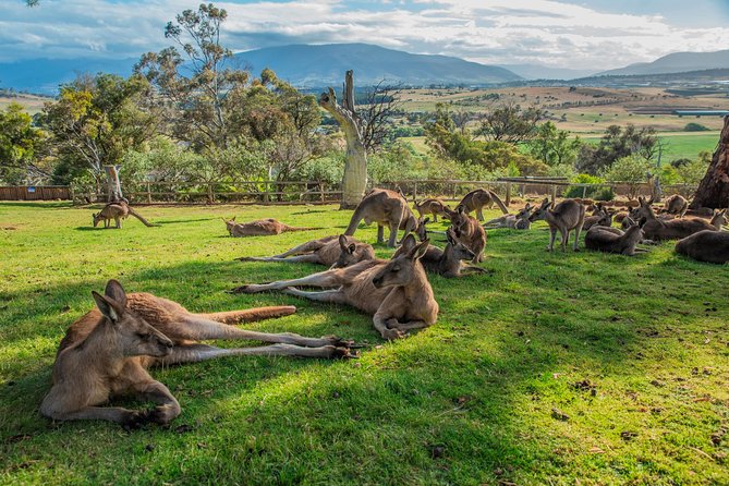 3 Day Tasmanian Highlights Tour – Hobart, Port Arthur and Bruny Island - Tour Highlights