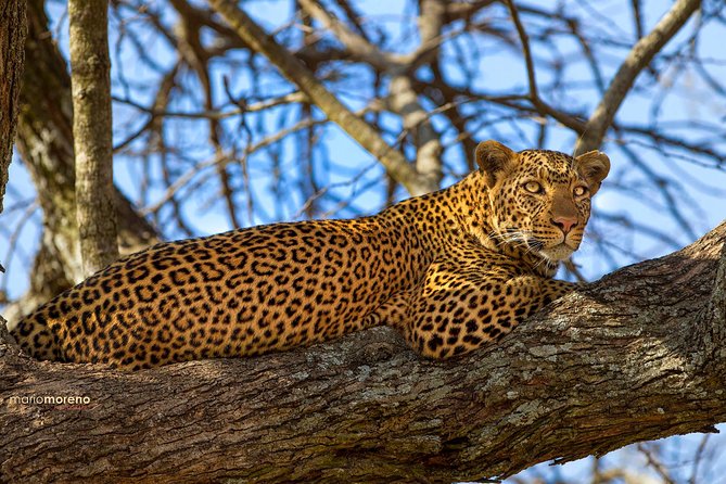 3-Day Taste of Tanzania Safari (Tarangire National Park and Ngorongoro Crater) - Booking and Cancellation