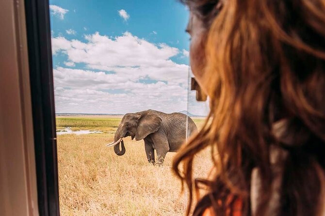 3-Day Taste of Tanzania Safari (Tarangire National Park and Ngorongoro Crater) - Accessibility and Participation