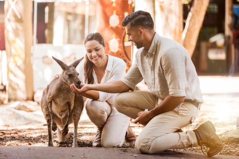 3-Day Ticket: Dreamworld With Whitewaterworld & Skypoint - SkyPoint Observation Deck