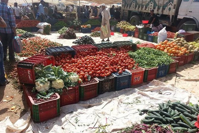 3-Day Tour From Marrakech to Fes With Desert Break - Itinerary Day 1