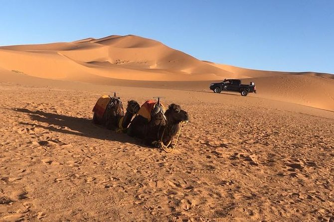 3-Day Tour From Marrakech to Fes With Desert Break - Itinerary Day 2