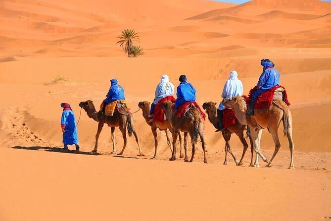 3-Day Tour From Marrakech to Merzouga Desert - Key Points