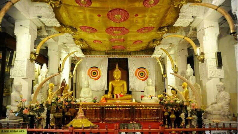 3-Day Tour from Your Hotel: Explore Kandy, Ella, and Yala - Key Points