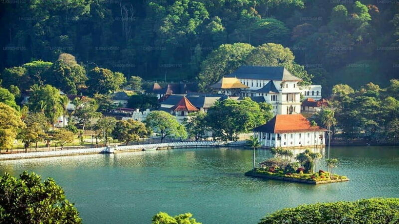 3-Day Tour from Your Hotel: Explore Kandy, Ella, and Yala - Authentic Experiences and Traveler Feedback