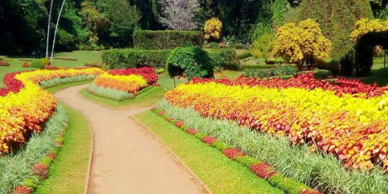 3-Day Tour from Your Hotel: Explore Kandy, Ella, and Yala - The Sum Up