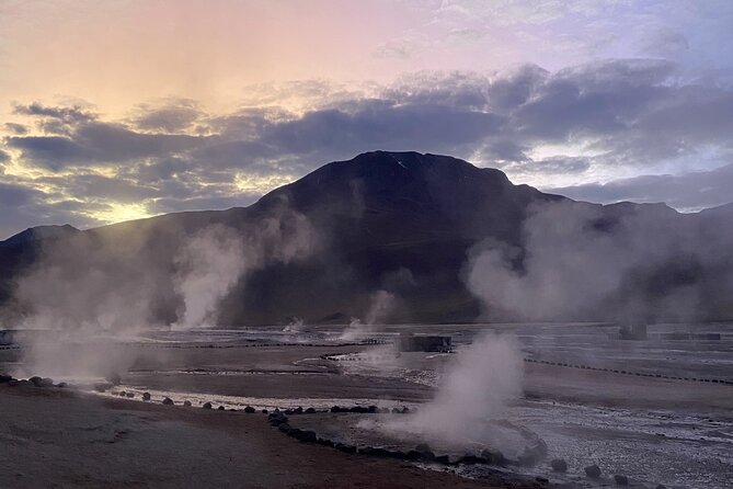3-Day Tour in San Pedro De Atacama - Encountering Local Wildlife