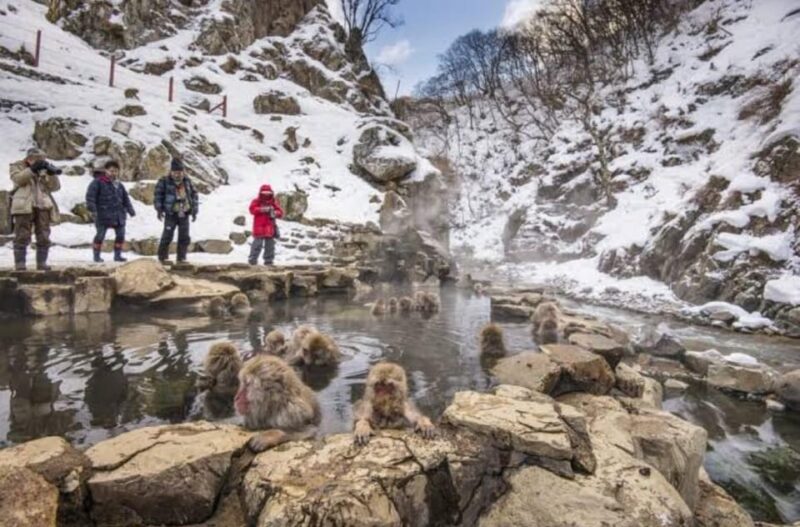 3 Day Tour ( Mt Fuji&Hakone , Nikko , Nagano Monkey Park) - Frequently Asked Questions