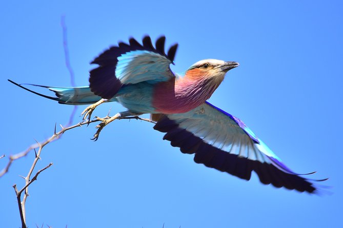 3-Day Tour of Kruger National Park From Skukuza Airport - Included Activities and Pricing