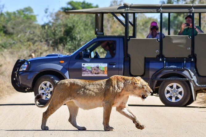 3-Day Tour of Kruger National Park From Skukuza Airport - Booking Requirements and Restrictions
