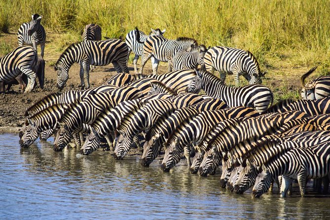 3-Day Tour of Kruger National Park From Skukuza Airport - Safety and Accessibility Considerations