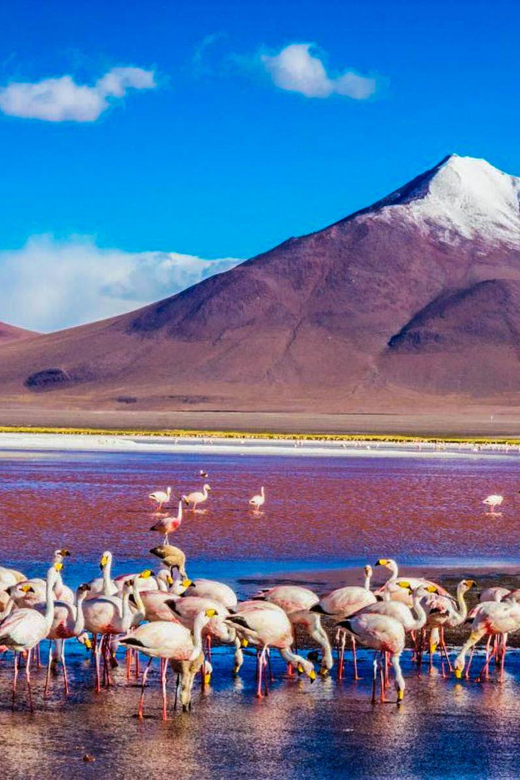 3-Day Tour of the Uyuni Salt Flat and San Pedro De Atacama - Key Points